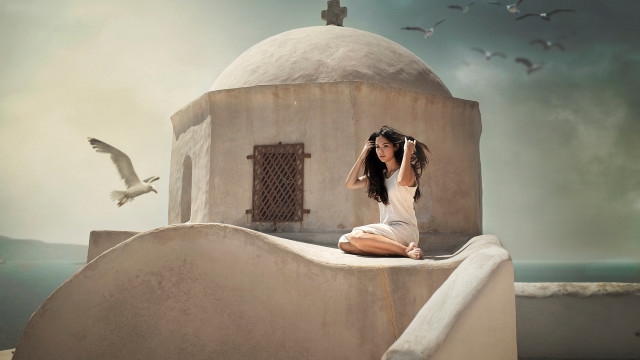 Woman ledge building bird cinematic free wallpaper for desktop - medium preview image