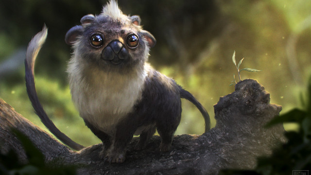 Monkey tree branch blue eyes free wallpaper for desktop - medium preview image