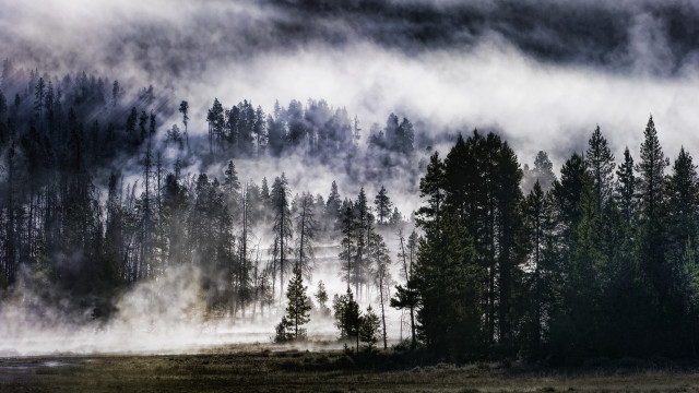 Foggy forest river clouds matte free wallpaper for desktop - medium preview image