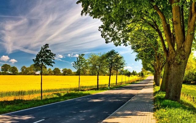 Road trees field blue sky free wallpaper for desktop - medium preview image