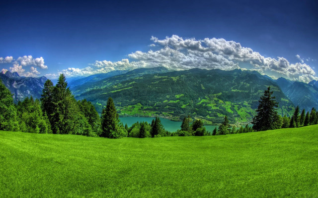 Green field trees mountains lake #4 free wallpaper for desktop - medium preview image