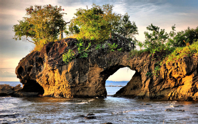 Rock tree shore ocean clouds free wallpaper for desktop - medium preview image