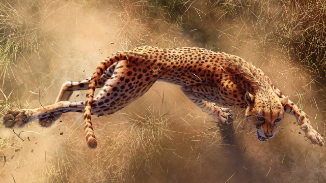 Cheetah running grass dinosaur fireworks free wallpaper for desktop - medium preview image