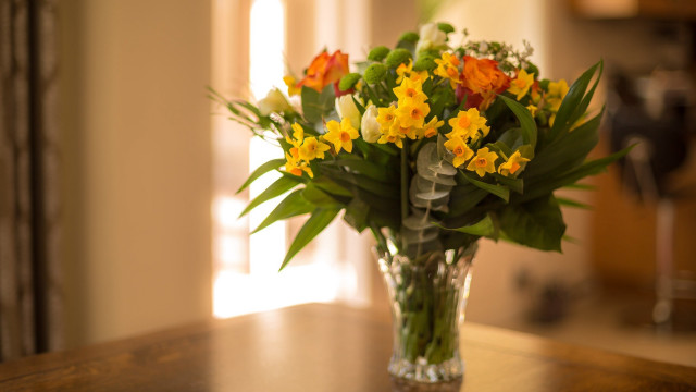 Vase flowers window curtain stilllife free wallpaper for desktop - medium preview image