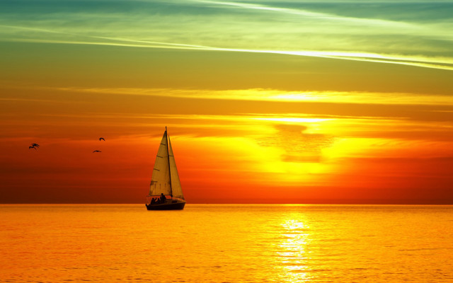 Sailboat sunset ocean birds matte free wallpaper for desktop - medium preview image
