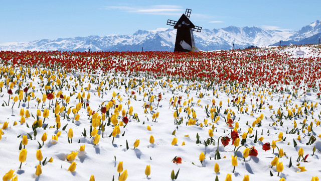 Windmill flowers mountains snow blue free wallpaper for desktop - medium preview image