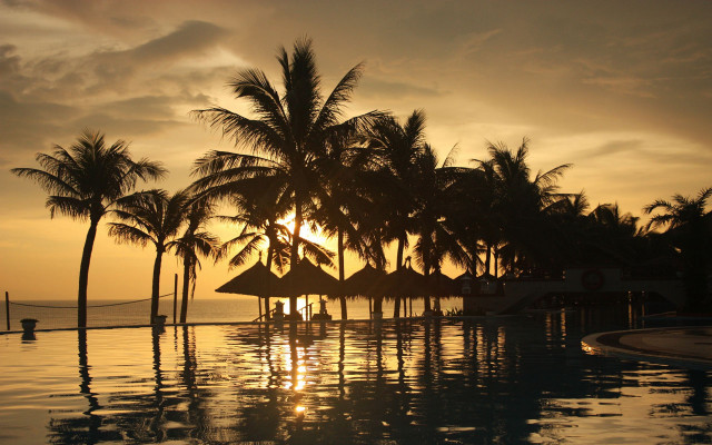 Sunset pool palm trees beach free wallpaper for desktop - medium preview image