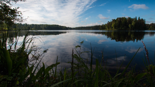 Lake trees clouds grass matte #2 free wallpaper for desktop - medium preview image