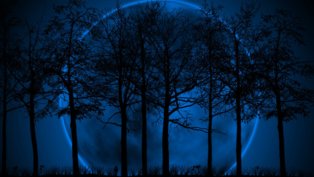 Full moon night gothic bamboo free wallpaper for desktop - medium preview image
