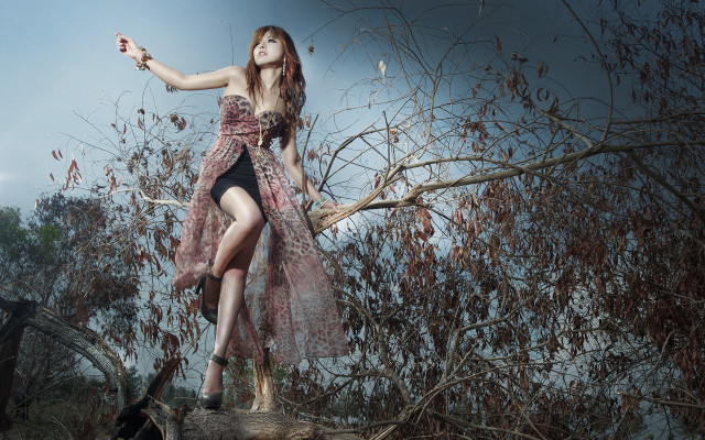 Woman dress tree branch bird free wallpaper for desktop - medium preview image