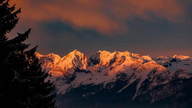 Mountain snow trees sunset dramatic free wallpaper for desktop - medium preview image