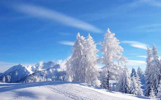 Snowy landscape mountains trees blue free wallpaper for desktop - medium preview image