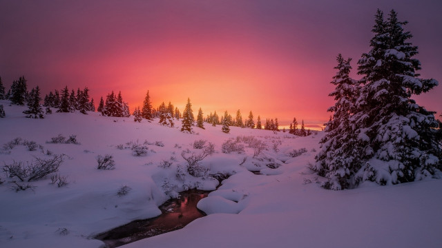 Sunset snowy landscape stream trees free wallpaper for desktop - medium preview image