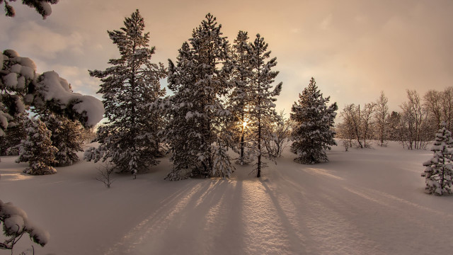 Snowy landscape trees sunset mountain free wallpaper for desktop - medium preview image