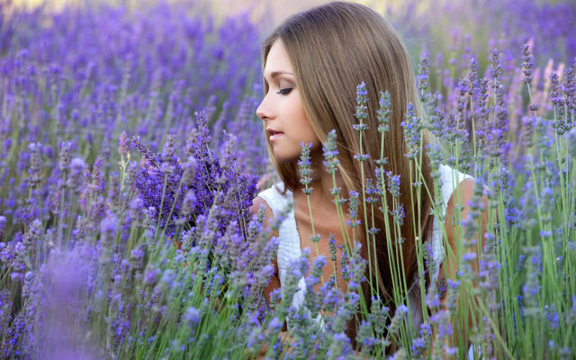Lavender field woman looking up free wallpaper for desktop - medium preview image