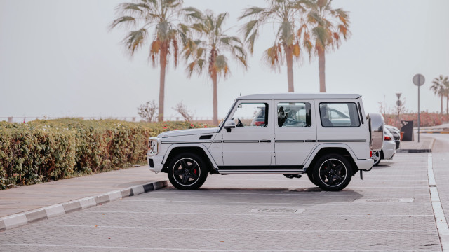 White mercedes benz autumn leaves free wallpaper for desktop - medium preview image