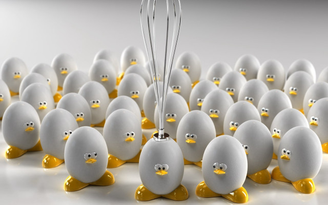 White eggs yellow beaks whisks free wallpaper for desktop - medium preview image