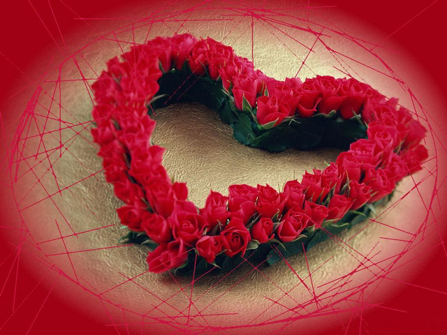 Heart roses red flower love free wallpaper for desktop - medium preview image