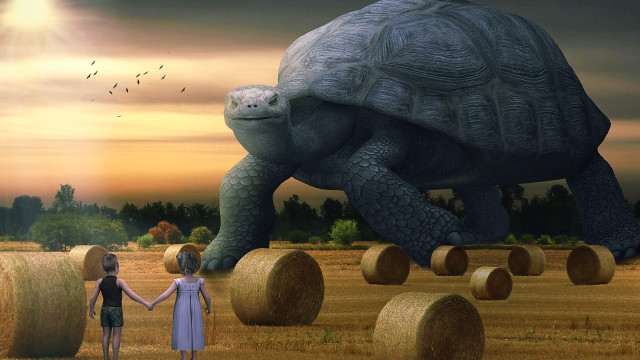 Couple holding hands giant turtle free wallpaper for desktop - medium preview image