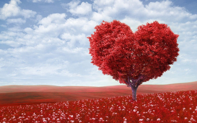 Heart shaped tree field flowers #4 free wallpaper for desktop - medium preview image