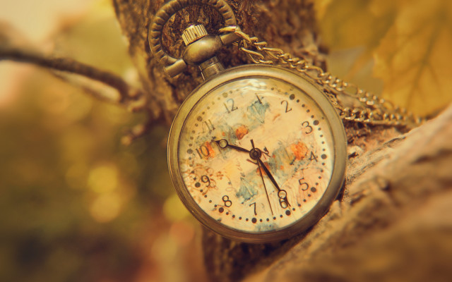 Pocketwatch tree fall magic roman free wallpaper for desktop - medium preview image