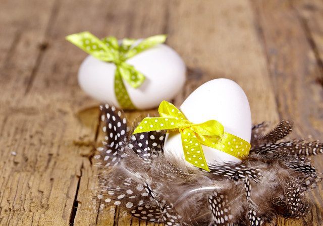 Eggs bows feathers wooden table free wallpaper for desktop - medium preview image