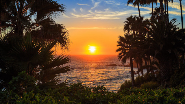 Sunset ocean palm trees boats free wallpaper for desktop - medium preview image