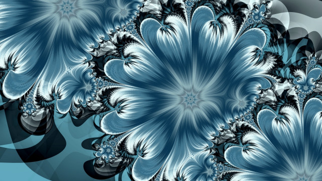 Blue white flower black background free wallpaper for desktop - medium preview image