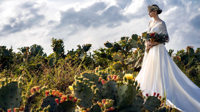 Wedding dress cactus field flower free wallpaper for desktop - medium preview image