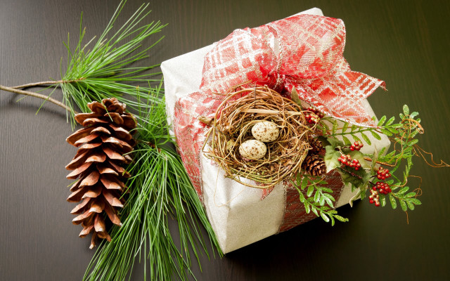 Wrapped present bird nest pine free wallpaper for desktop - medium preview image