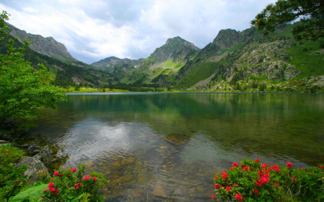 Lake mountains flowers cloudy sky free wallpaper for desktop - medium preview image