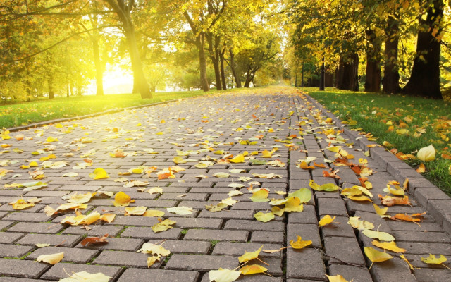 Fall brick road leaves autumn free wallpaper for desktop - medium preview image