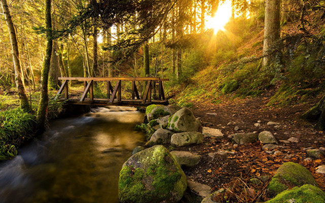 Bridge stream forest mossy rocks free wallpaper for desktop - medium preview image