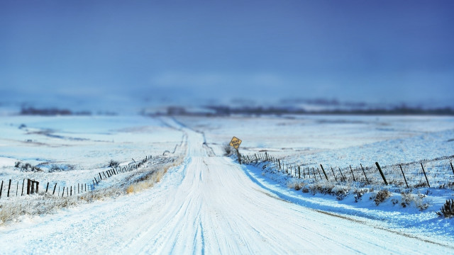 Snowy road fence cow winter free wallpaper for desktop - medium preview image