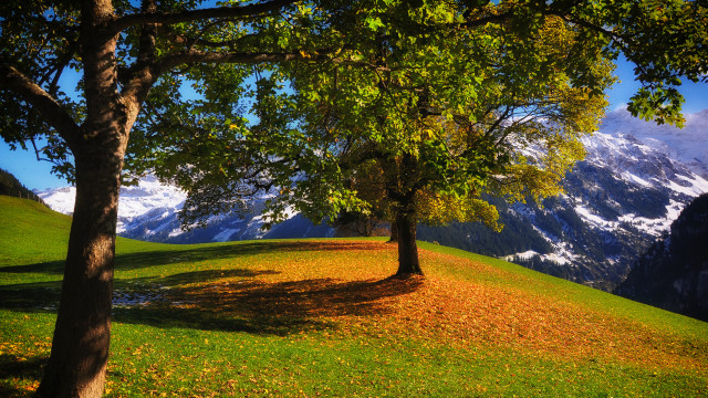 Grassy hill mountain snow trail free wallpaper for desktop - medium preview image