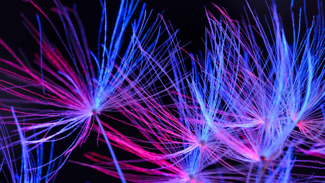 Purple blue flowers neon synchromism free wallpaper for desktop - medium preview image