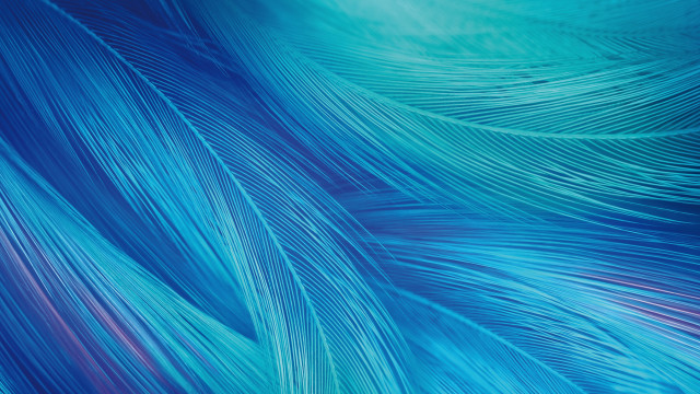 Blue feathers red center generative free wallpaper for desktop - medium preview image