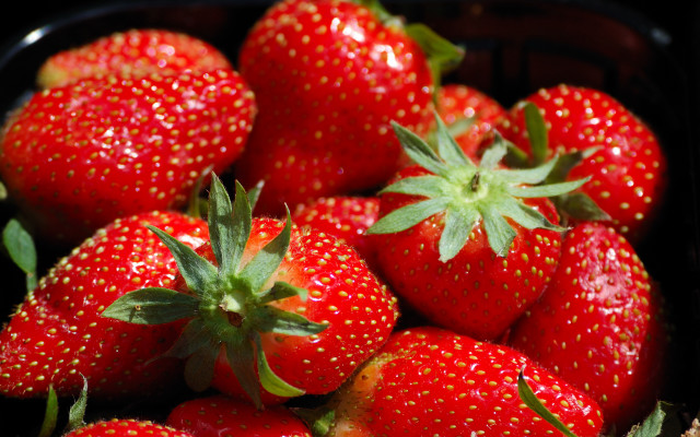 Strawberries water droplets green stem free wallpaper for desktop - medium preview image