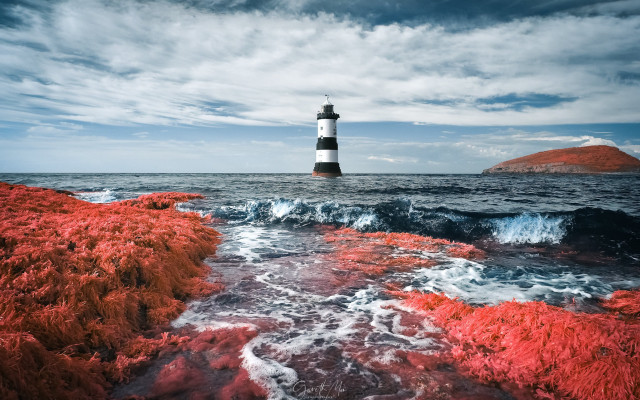 Lighthouse rocky shore red seaweed free wallpaper for desktop - medium preview image
