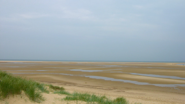 Sandy beach green plants water free wallpaper for desktop - medium preview image