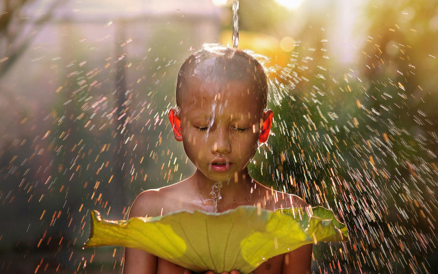 Young boy sprinkling water yellow free wallpaper for desktop - medium preview image