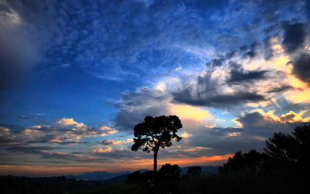 Silhouetted tree cloudy sunset mountains #3 free wallpaper for desktop - medium preview image
