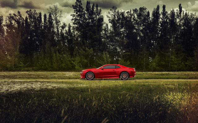 Red sports car field forest #2 free wallpaper for desktop - medium preview image