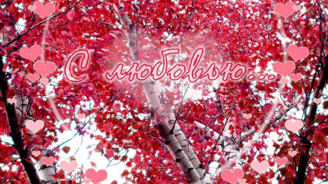 Tree love hearts autumn leaves free wallpaper for desktop - medium preview image