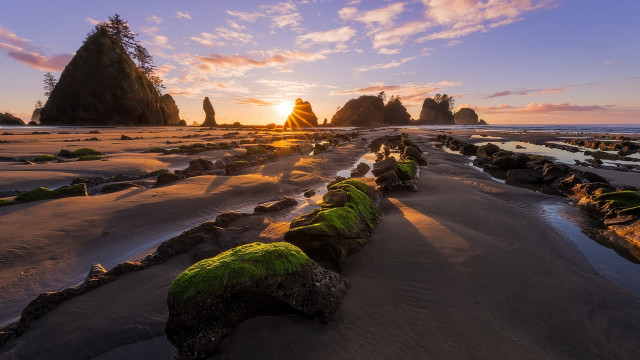 Beach rocks moss sunset trees free wallpaper for desktop - medium preview image