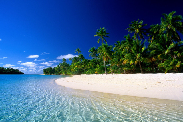 Beach palm trees clear water #14 free wallpaper for desktop - medium preview image