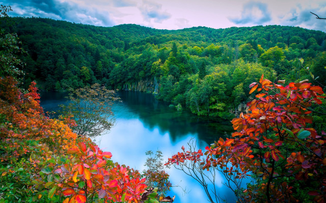 River forest lake autumn nature free wallpaper for desktop - medium preview image