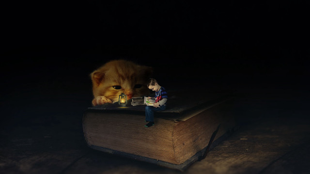 Cat book toy figure mouse free wallpaper for desktop - medium preview image