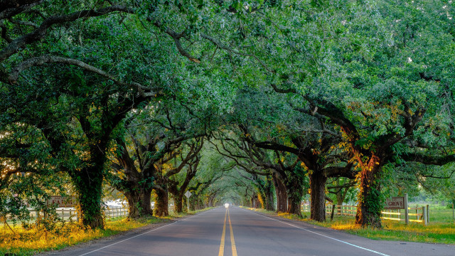 Autumn road fence trees shade free wallpaper for desktop - medium preview image