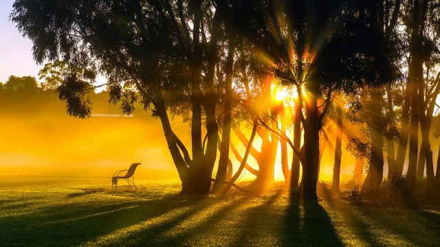 Field bench trees sunlight autumn free wallpaper for desktop - medium preview image